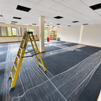 Punchin Clear Carpet Protection Film - 600mm x 100m Roll (Single)